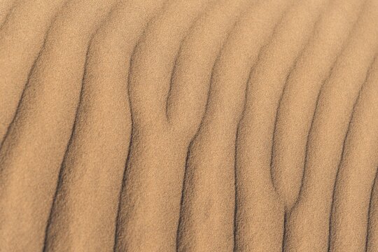 Wave pattern in the sand, Sossusvlei, Namib-Naukluft National Park, Namibia