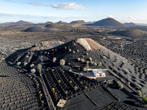 Typical drywall viticulture in volcanic landscape, on volcanic ash, lapilli, aerial view, vines, La Geria wine-growing region, Lanzarote, Canary Islands, Spain