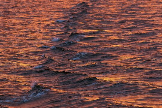 Bow waves in the evening light, Arctic Ocean, Spitsbergen Island, Svalbard Archipelago, Svalbard and Jan Mayen, Norway