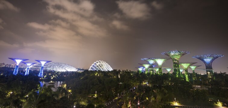 Illuminated Super Trees at night, Gardens by the Bay, Singapore