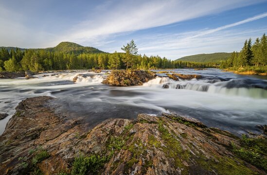 Rapids in the river Namsen, coniferous forest, Namsskogan, Tr&oslash;ndelag, Norway
