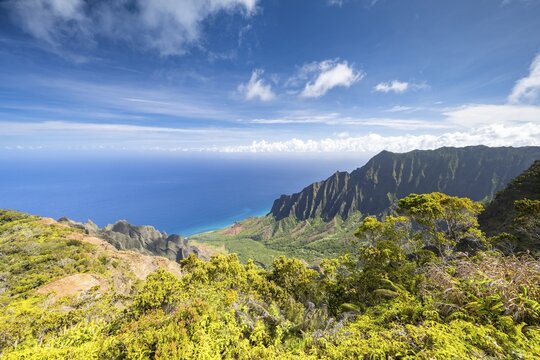 View from Kalalau Lookout into Kalalau Valley, Kokee State Park, Napali Coast, Kauai, Hawaii, USA