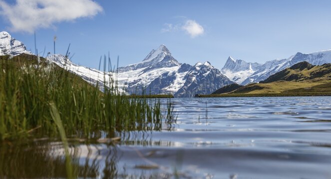 Reflection in Bachalpsee, snow-covered Eiger North Face, Eiger, M&ouml;nch, Jungfrau, Gro&szlig;es Fiescherhorn, Grindelwald, Switzerland