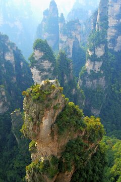 "Avatar" mountains with vertical quartz sandstone rocks, Zhangjiajie National Park, Hunan Province, China