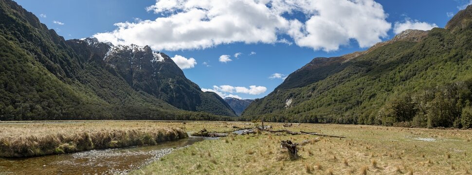 Mountain stream, Routeburn Flats, Routeburn Track, Mount Aspiring National Park, Westland District, West Coast, South Island