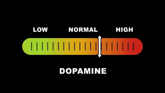 Dopamine level indicator scale. Low normal & high meter infographic animation on black background. Showing high dopamine level color gauge indicator for brain neurotransmitter mental health.