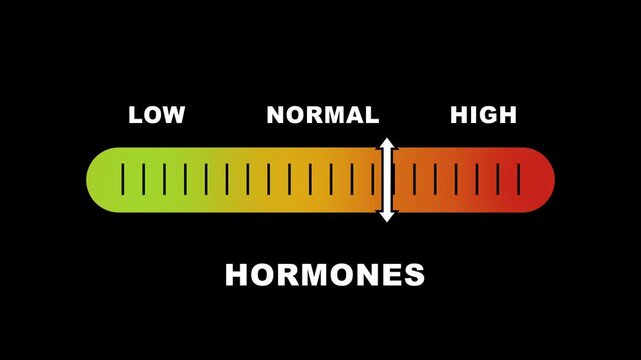 Hormones level indicator scale low normal high meter infographic animation on black background animation showing high hormones level color gauge indicator for endocrine health medical wellness.