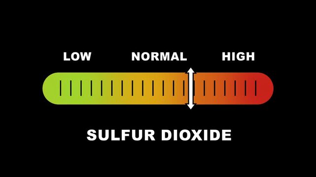 Sulfur dioxide level indicator scale. Low normal & high meter infographic animation on black background. Showing high sulfur dioxide level color gauge indicator for Air quality environmental pollution
