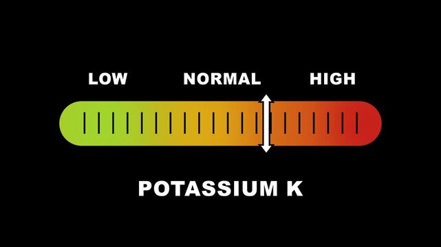 Potassium K indicator scale. Low normal high meter infographic animation on black background. Showing high potassium k level color gauge indicator for nutrition and electrolyte health monitoring.