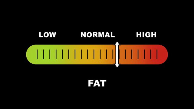 Fat level indicator scale. Low normal high meter infographic animation on black background. Showing high fat level color gauge indicator for body composition and health monitoring.