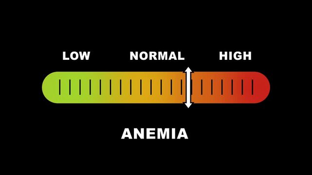 Anemia level indicator scale. Low Normal High meter infographic animation on black background. Animation showing high anemia level color gauge indicator for blood health and iron deficiency monitoring