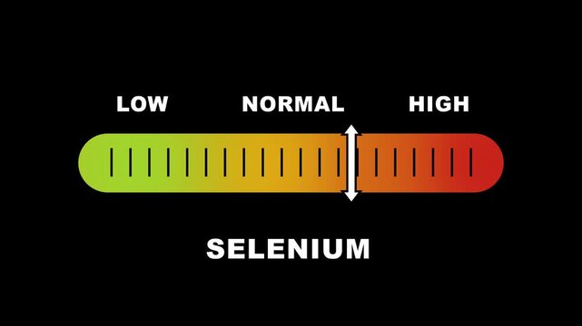 Selenium level indicator scale. Low normal & high meter infographic animation on black background. Showing high selenium level color gauge indicator for nutrition and antioxidant health monitoring.