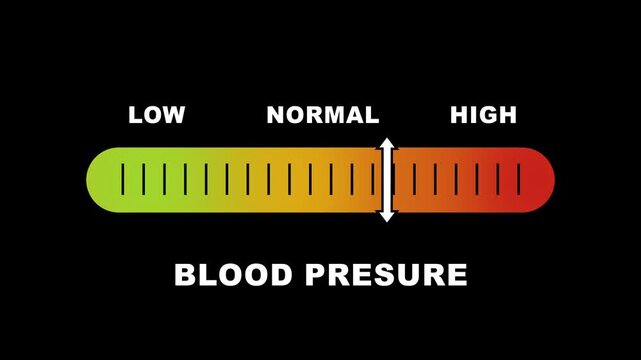 Blood pressure level indicator scale. Low Normal High meter infographic animation on black background. Animation showing high blood pressure color gauge indicator for cardiovascular health monitoring.