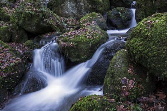 Gertelbach, Gertelbach Falls, Gertelbach Gorge, B&uuml;hl, B&uuml;hlertal, Northern Black Forest, Black Forest, Baden-W&uuml;rttemberg, Germany