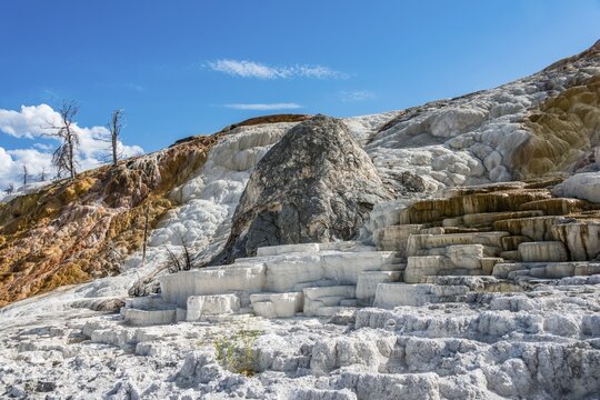 Sinter terraces, hot springs, mineral deposits, Palette Springs, Lower Terraces, Mammoth Hot Springs, Yellowstone National Park, Wyoming, USA