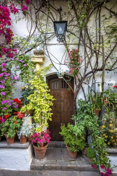 Entrance door in the courtyard decorated with flowers, Fiesta de los Patios, C&oacute;rdoba, Andalusia, Spain