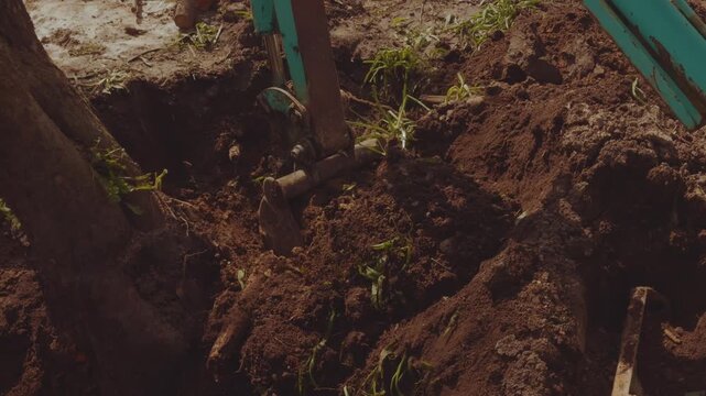 The process of the mini tractor, tractor driver, tractor uproots a tree, removal of roots by tractor