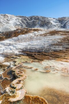 Sinter terraces, hot springs, orange mineral deposits, Palette Springs, Lower Terraces, Mammoth Hot Springs, Yellowstone National Park, Wyoming, USA