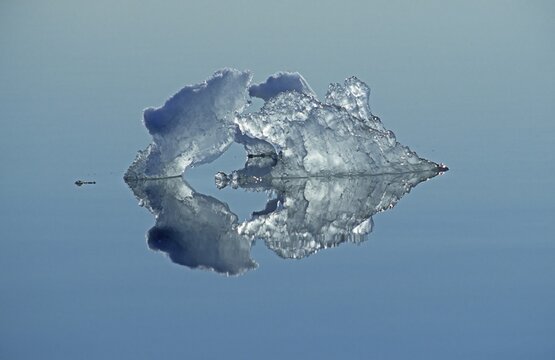Ice crystal, reflection in the polar sea, Spitsbergen, Svalbard, Arctic, Norway
