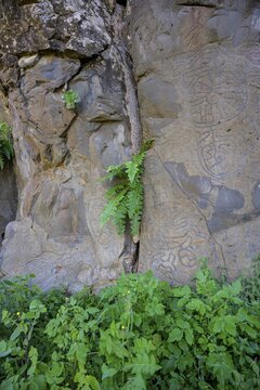 Rock engravings of La Fajana, El Paso, La Palma, Spain