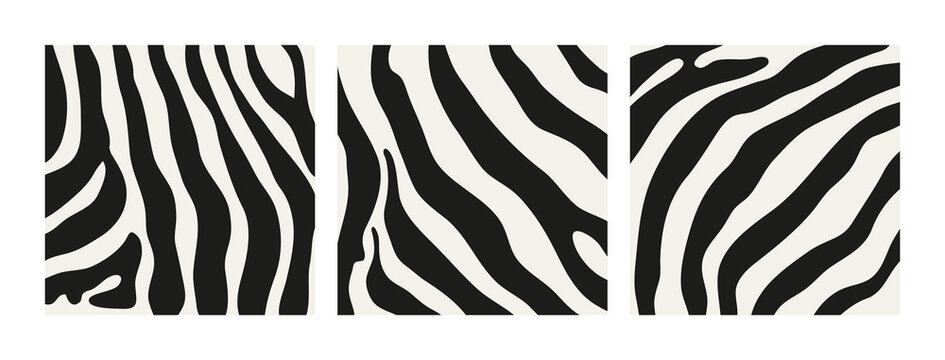 Collection set striped zebra skin pattern. African wild animal skin texture for print, fabric, textile, wrapping paper, background, wallpaper.