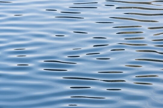 Reflections on a calm sea surface, Faroe Islands, Denmark