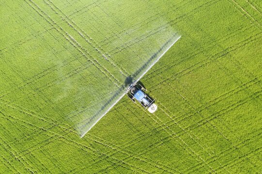 Tractor spraying fungicide onto the rice fields (Oryza sativa), in July, aerial view, drone shot, Ebro Delta Nature Reserve, Tarragona province, Catalonia, Spain