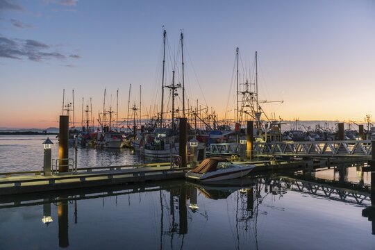 Fishing boats at Steveston Harbour at sunset, Fraser River, Vancouver, British Columbia, Canada