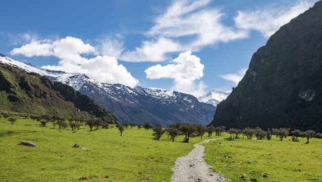 Hiking trail to Rob Roy Glacier, snow covered mountains in the back, Mount Aspiring National Park, Otago, South Island, New Zealand