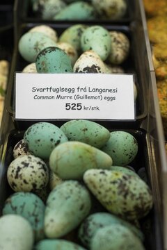 Eggs of Common guillemot (Uria aalge), delicatessen, Reykjav&iacute;k, Iceland