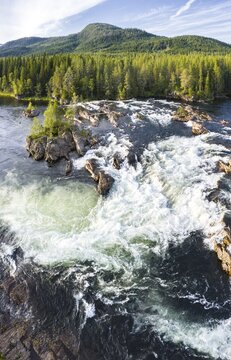 Rapids in the river Namsen, coniferous forest, Namsskogan, Tr&oslash;ndelag, Norway