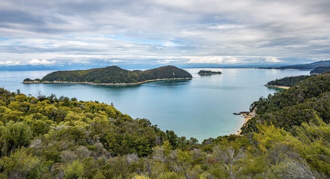 View over Bay Astrolabe Roadstead with Adele Island, Abel Tasman National Park, Tasman, South Island, New Zealand
