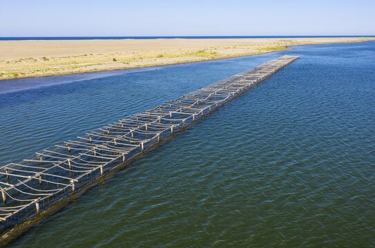 Mussel and oyster farming in the Bahia del Fangar, aerial view, drone shot, Ebro Delta Nature Reserve, Tarragona province, Catalonia, Spain