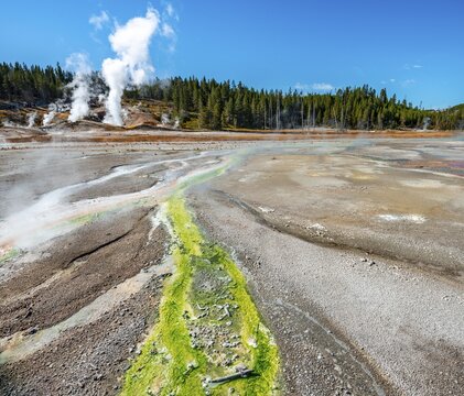 Red mineral deposits and green algae at a thermal spring, steaming hot springs, Noris Geyser Basin, Yellowstone National Park, Wyoming, USA