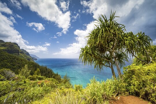 View of the Nā Pali Coast from the Kalalau Trail, Napali Coast, Kauai, Hawaii, USA