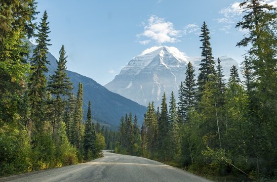 Road, highway through a forest, behind summit of Mount Robson, Mount Robson Provincial Park, British Columbia Province, Canada