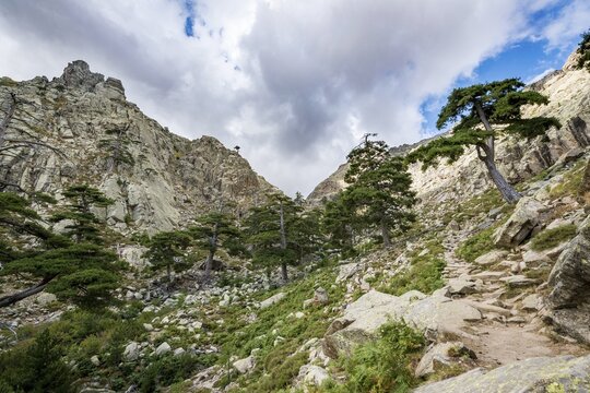 Mountainous landscape in Golo Valley, Nature Park of Corsica, Parc naturel r&eacute;gional de Corse, Corsica, France