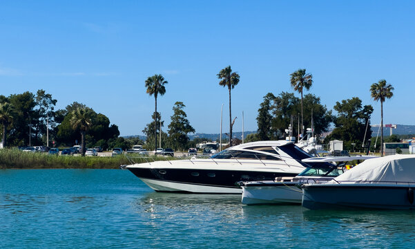  Scenic harbor view with yachts and sailboats docked at the marina under a partly cloudy sky, surrounded by palm trees and modern buildings.