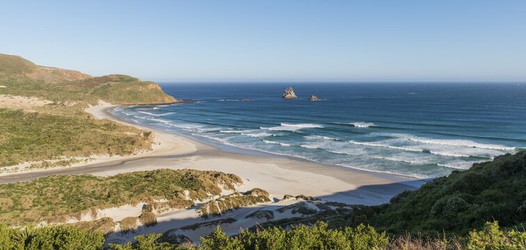 View of sandy beach, Bay Sandfly Bay, Dunedin, Otago, Otago Peninsula, Southland, New Zealand