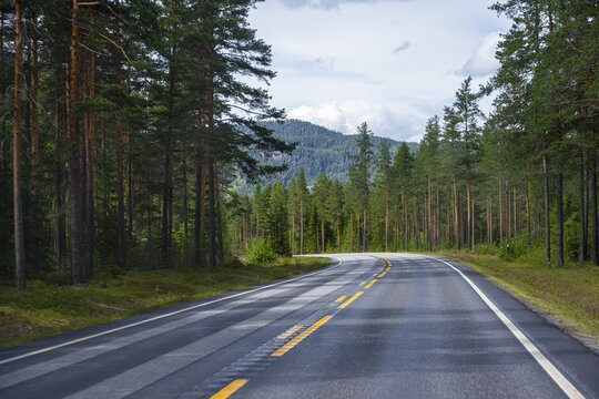 Road through coniferous forest, country road, Norway
