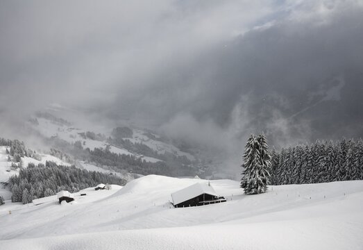 Snowed-in mountain huts on a slope with snowfall, Hochbrixen, Brixen im Thale, Tyrol, Austria