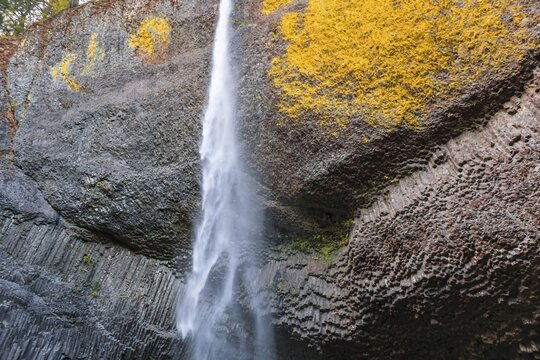 Waterfall in front of basalt rock, Latourell Falls, Oregon, USA