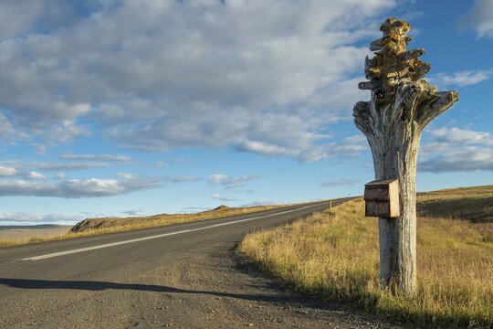 Driftwood trunk mounted mailbox, Steingr&iacute;msfj&ouml;r&eth;ur, Westfjords, Northwest Iceland, Iceland