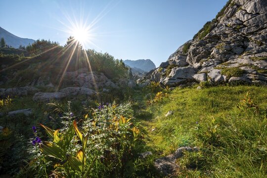 Karst landscape, mountain landscape, Stuhlgraben, Grie&szlig;kogel in the background, Steinernes Meer, Funtenseetauern, Berchtesgaden National Park, Berchtesgadener Land, Upper Bavaria, Bavaria, Germany