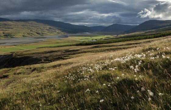 By the lake Lagarflj&oacute;t, East Iceland, Iceland