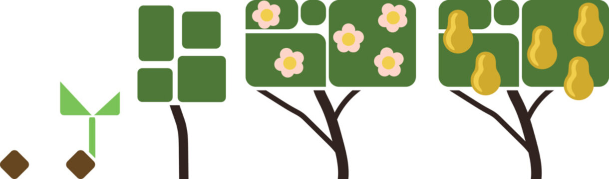 Minimalist pear tree life cycle. Abstract geometric growth stages from seed to fruit