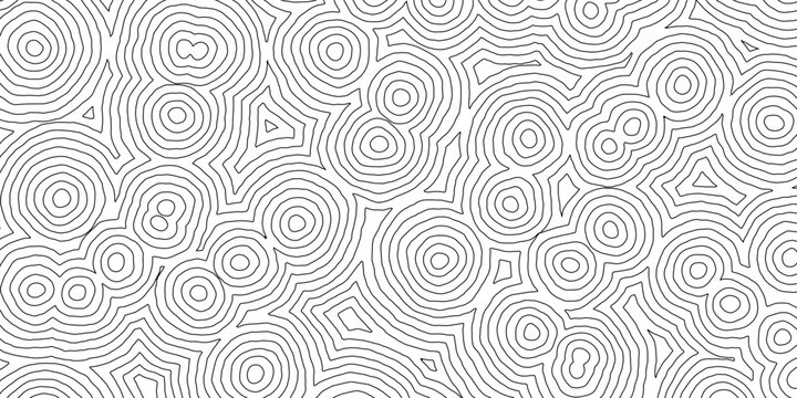 abstract geometric pattern of concentric circles and lines forming maze like monochrome background