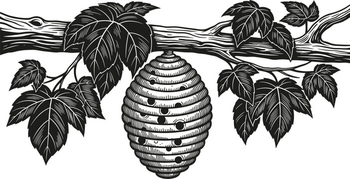 Beehive on tree branch, detailed black white drawing, nature themed illustration, serrated leaves artwork, honeycomb design flat vector illustration