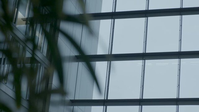 Modern Office Atrium With Large Glass Windows and Minimalist Interior Design