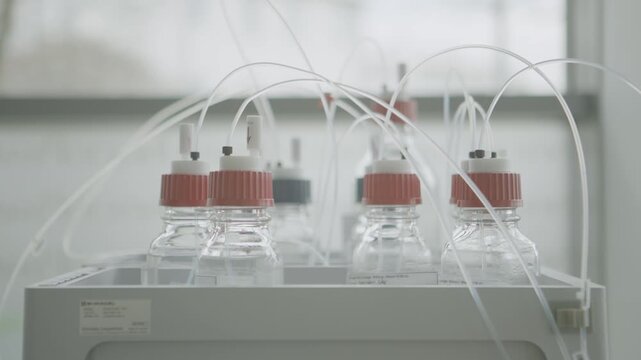 Laboratory Bottles With Tubing Set Up for Fluid Transfer in Science Lab